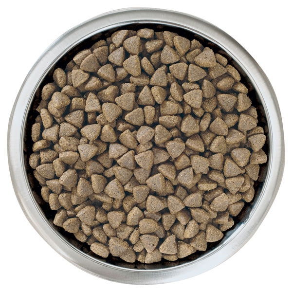 Pro Plan Large Puppy Athletic OPTISTART