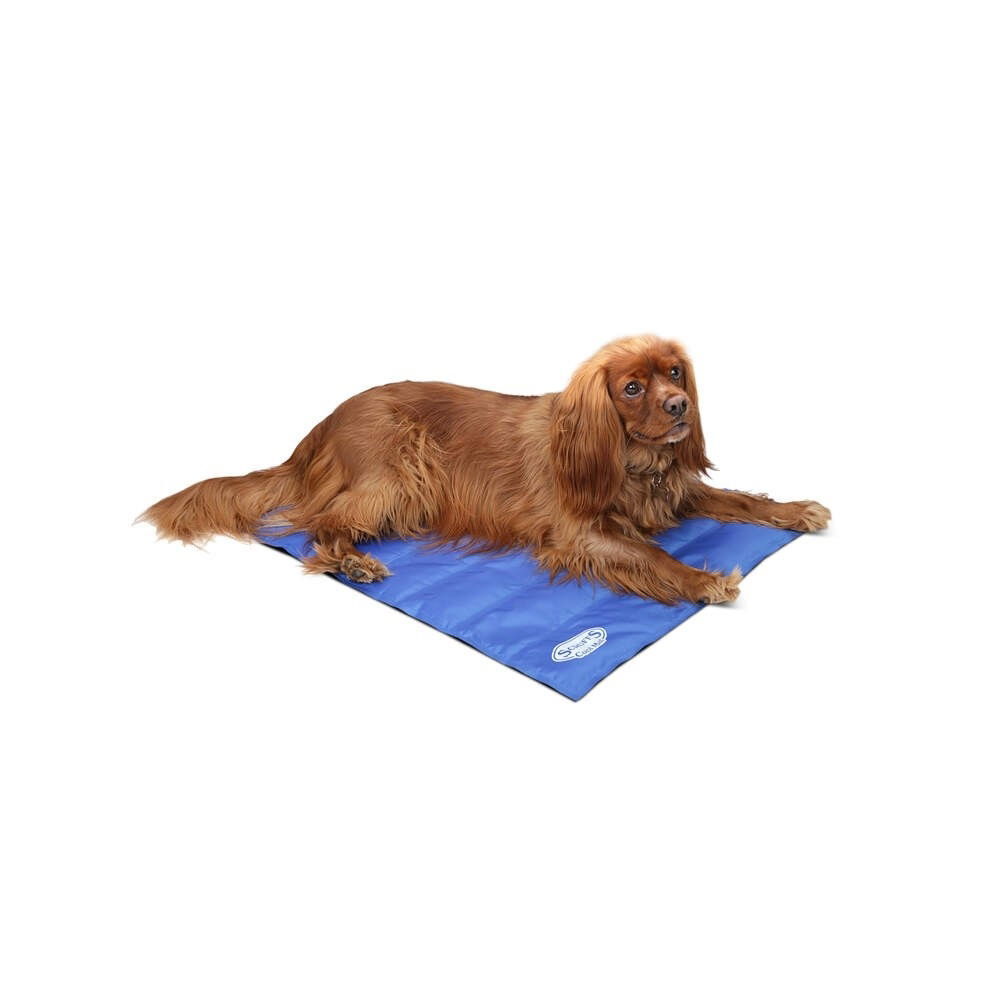 Scruffs cooling mat 
