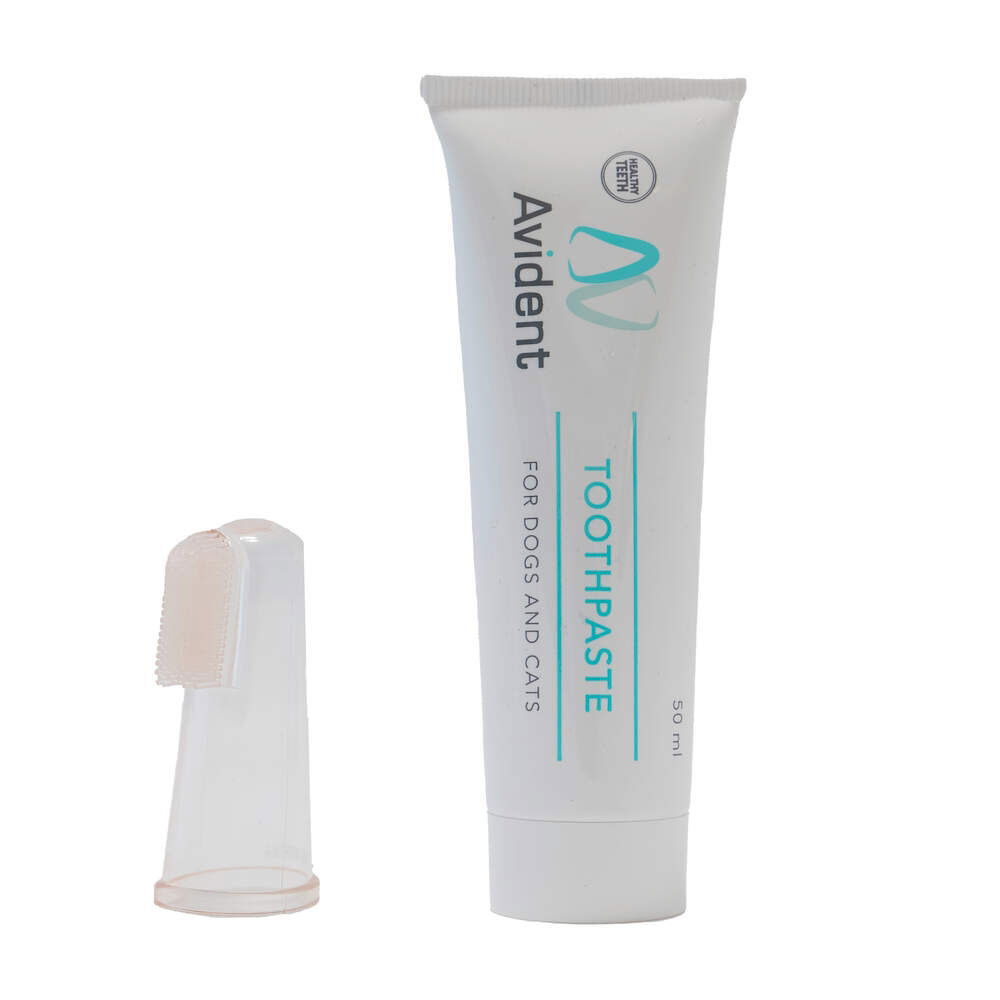 Avital Avident Tannbørste og Tannkrem 50 ml 