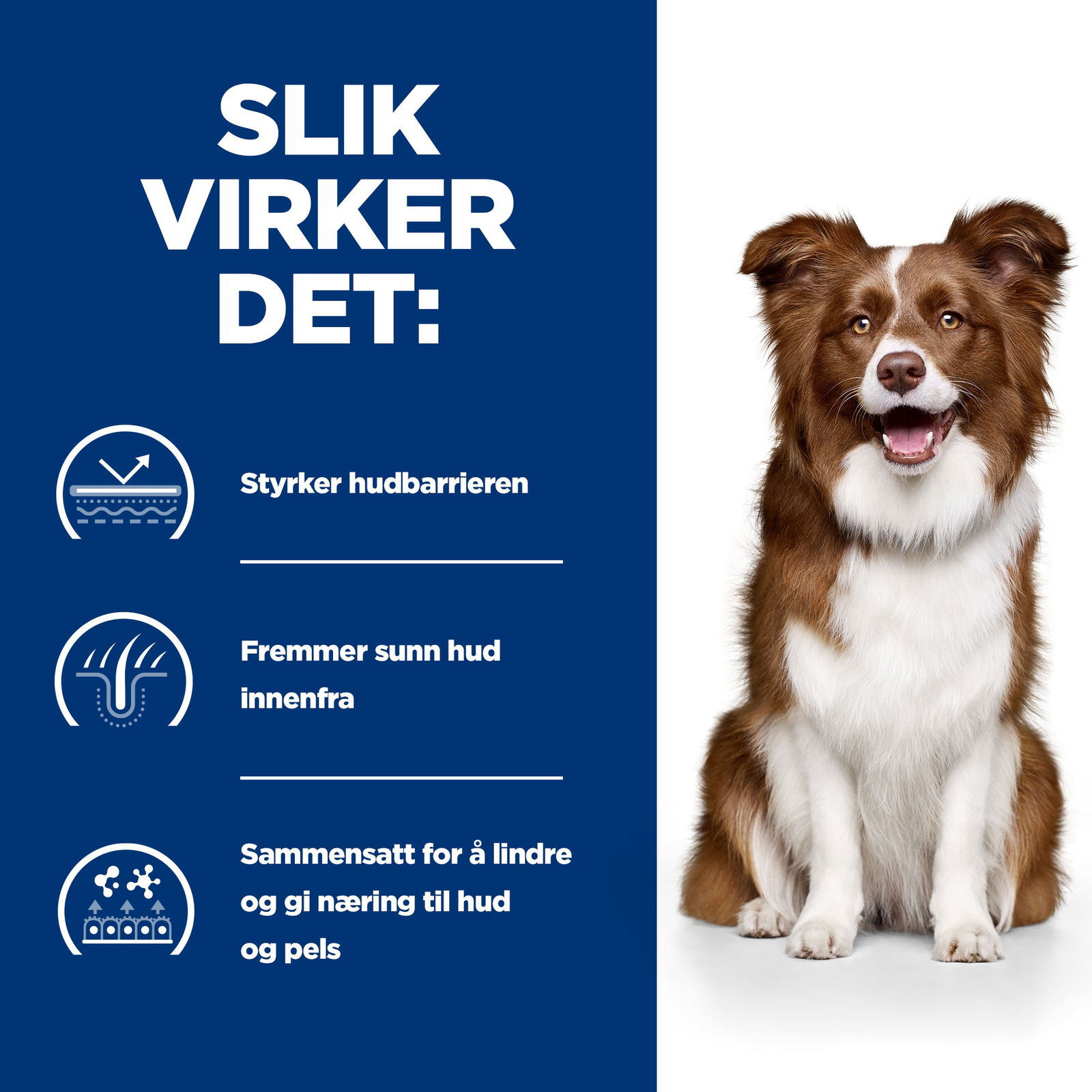 Hills Diet Dog Derm Defense 2kg