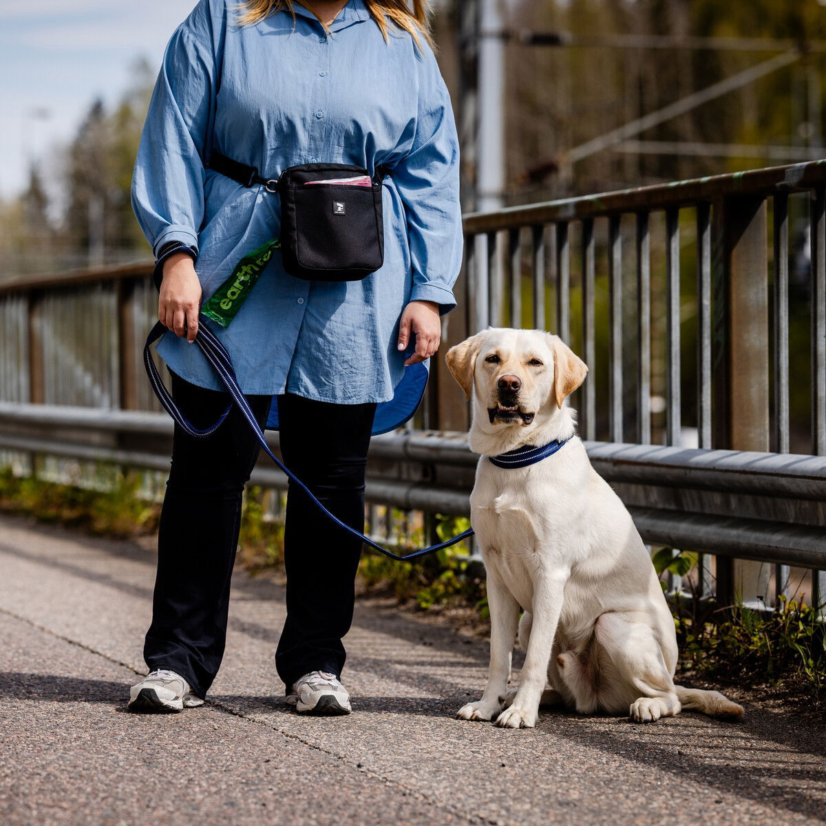 Feel Active Treat bag City black