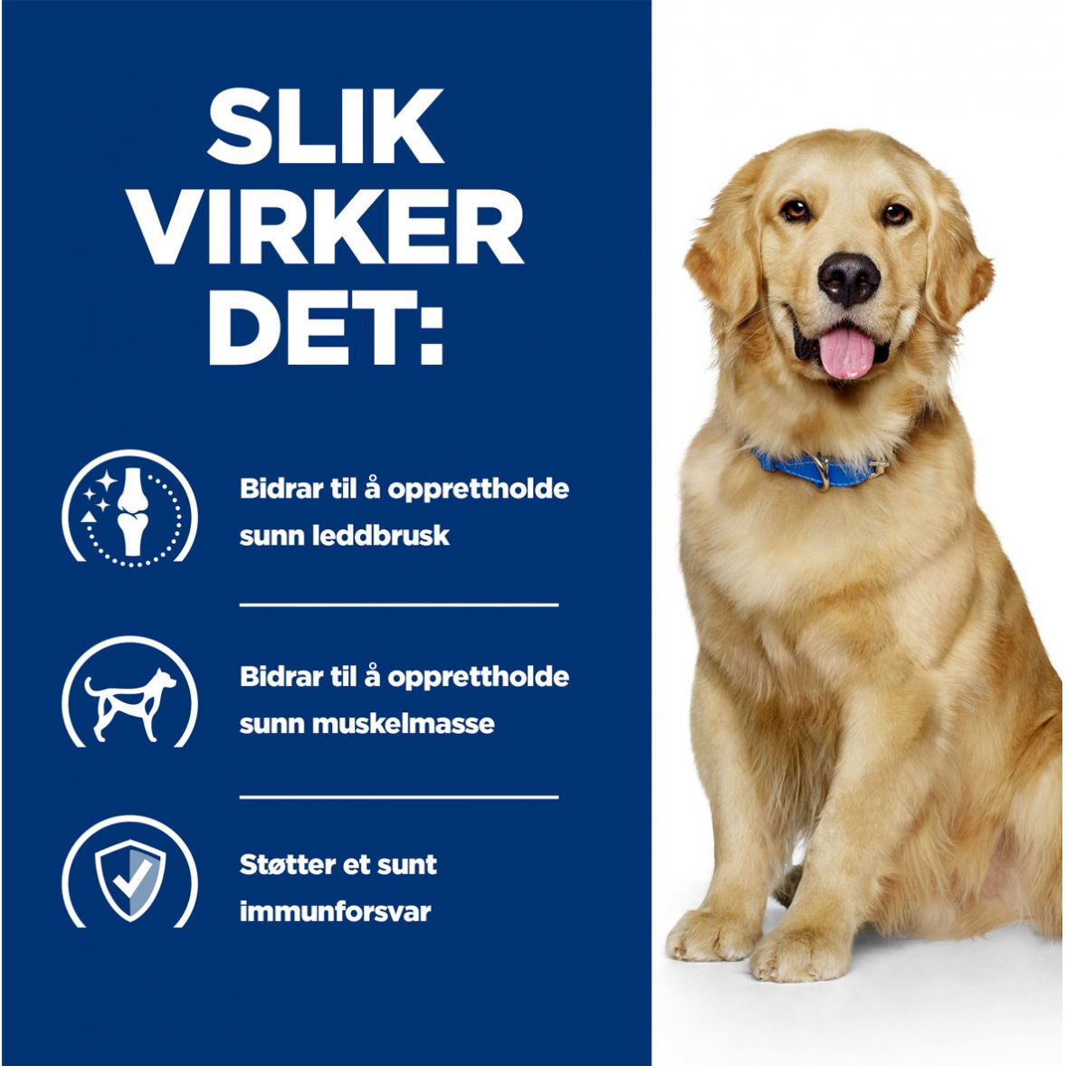 Hills Diet Dog j/d Reduced Calorie 4kg