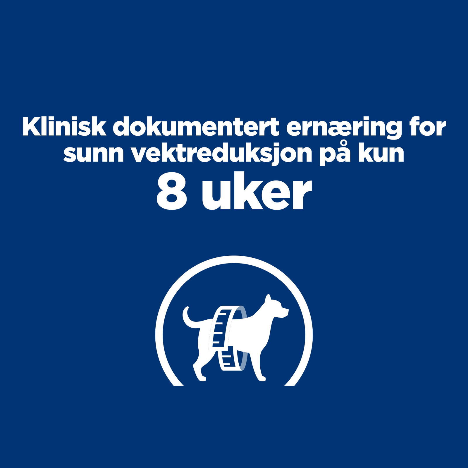 Hills Diet Dog r/d 12kg
