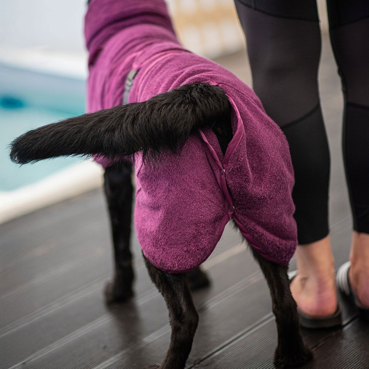 BathPomppa Plum