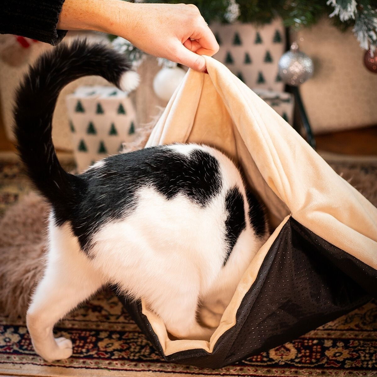 RW Hedgehog Snuffle Burrow Blanket