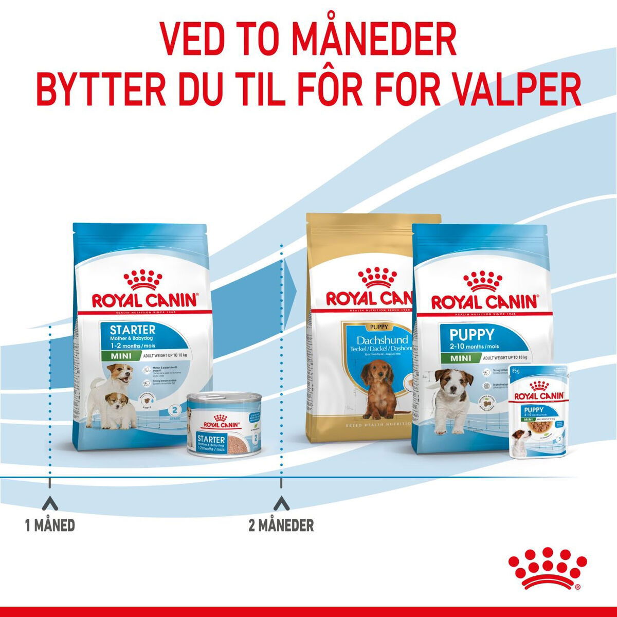 Royal Canin Mini Starter