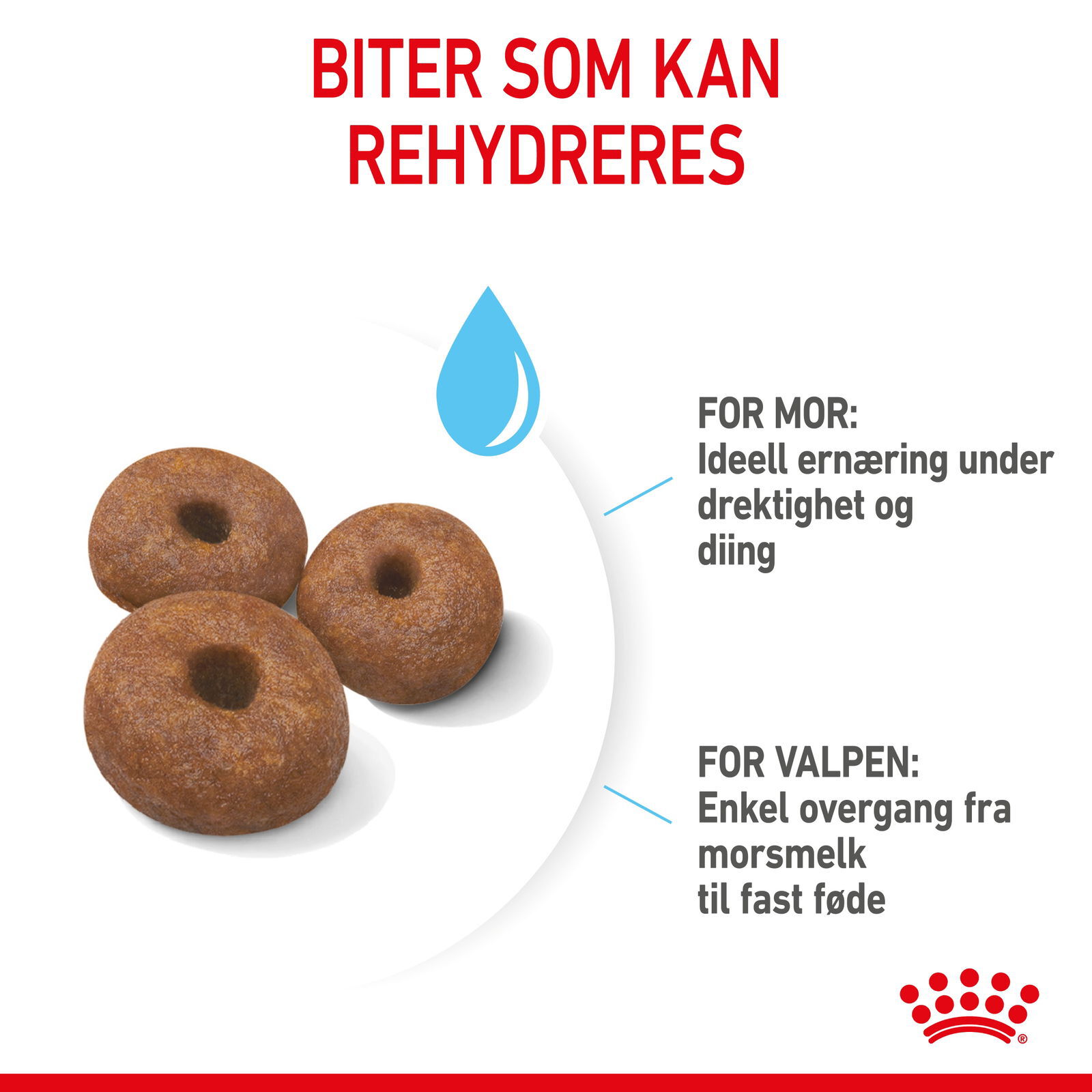 Royal Canin Giant Starter