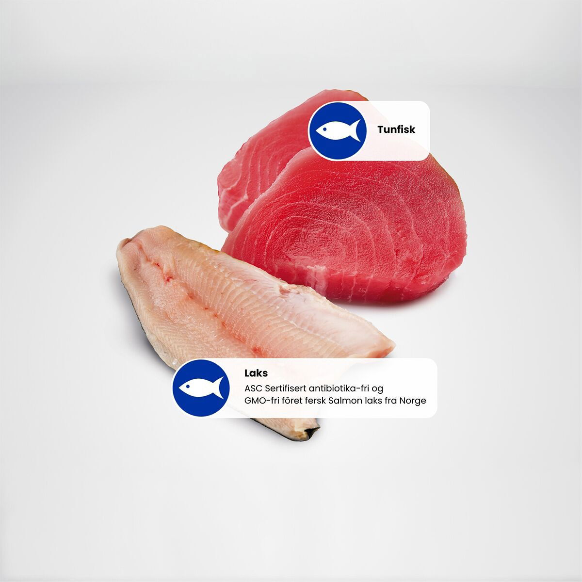 N&D Cat Ocean Tuna&Salmon 70g