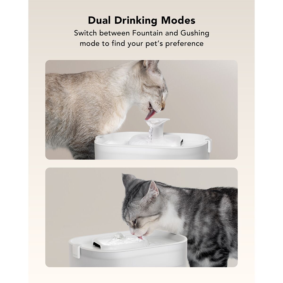 Petlibro Dockstream Wireless Pump Water Fountain