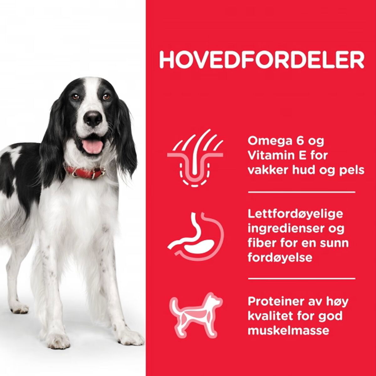 2x14kg Hill's Science Plan Adult 1-6 Medium Chicken torrfoder hund 9