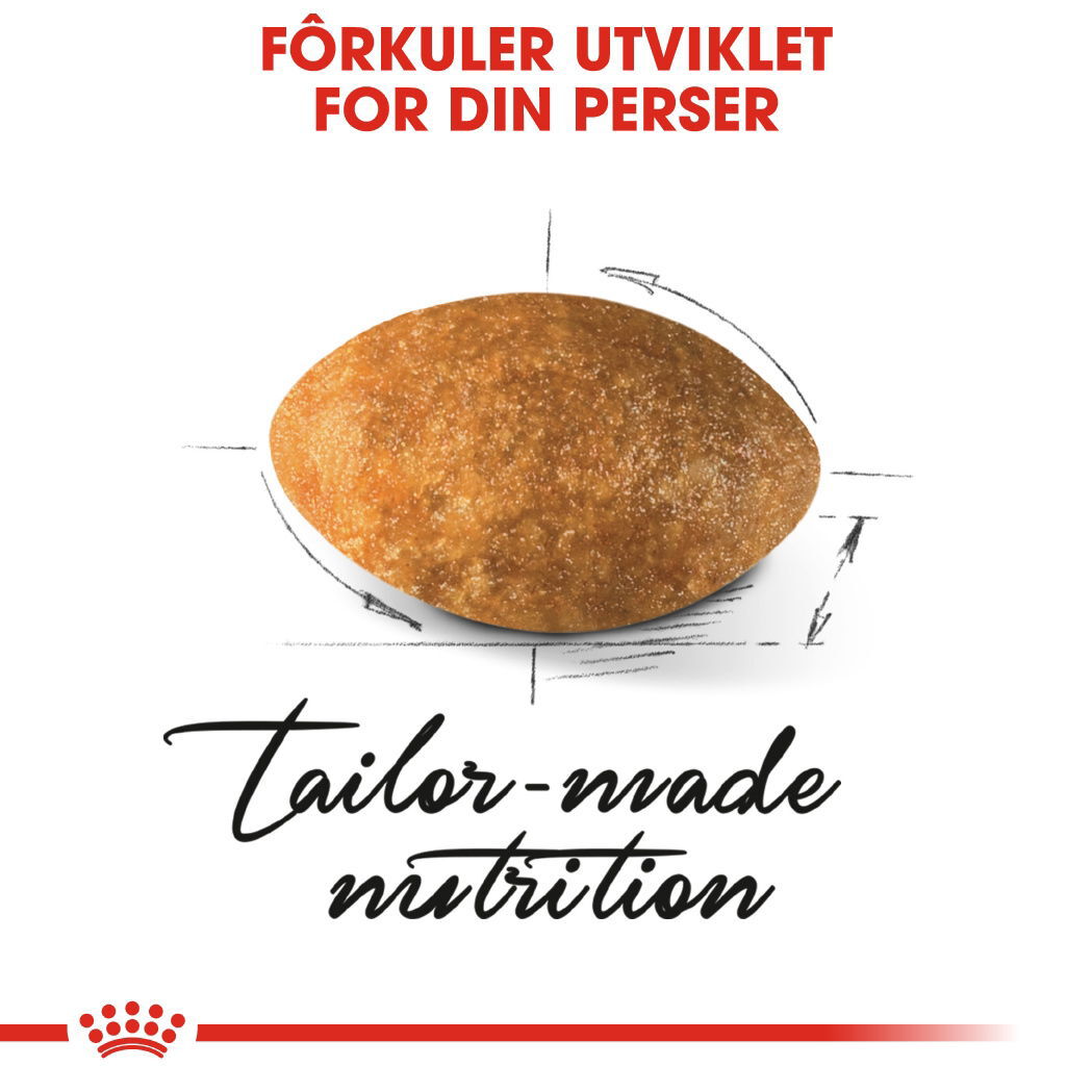 Royal Canin Persian Adult tørrfôr til katt