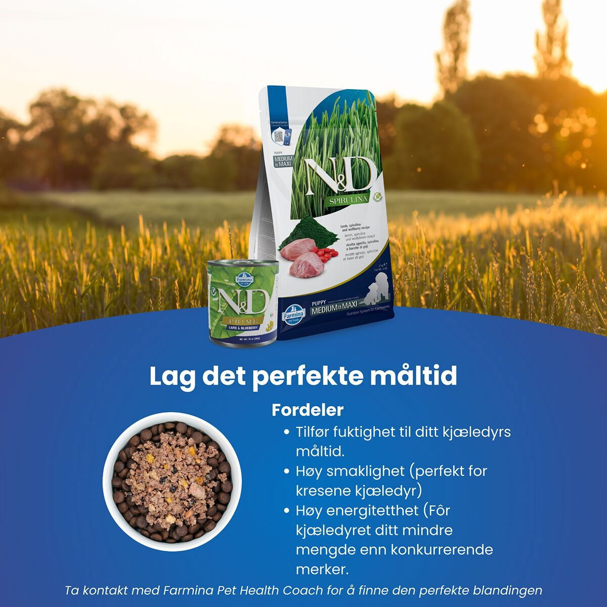 N&D Dog Spirulina&Lamb Puppy M/L 7kg